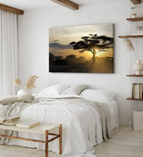 Paul Sinus Wandbild 120x80cm Burkea Bäume Afrika Sonnenuntergang Natur Wildnis
