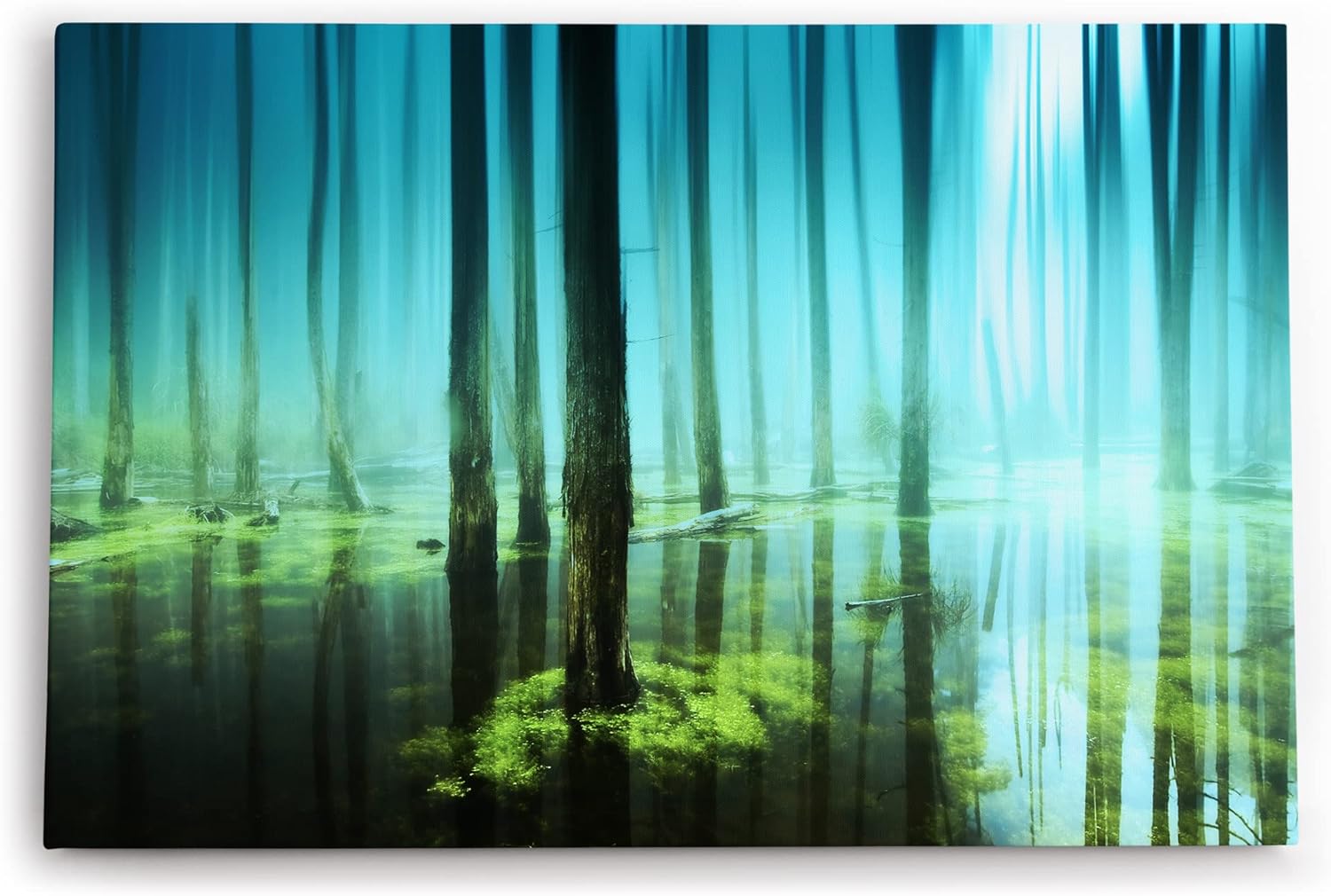 Paul Sinus Wandbild 120x80cm Wald Bäume See Wasserwald Kunstvoll Sonnenlicht Blau
