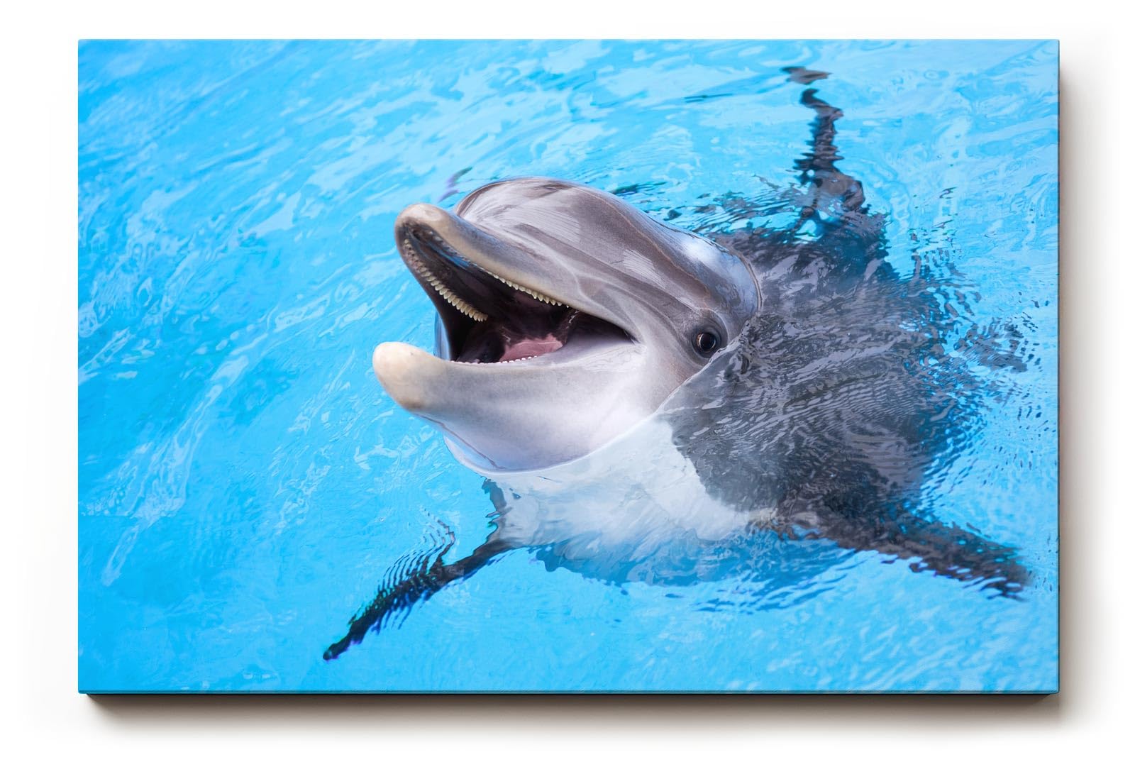 Sinus Art Wandbild 120x80cm Freundlicher Delfin in klarem Wasser – ein lebendiges und positives Motiv
