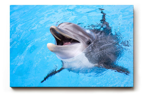 Sinus Art Wandbild 120x80cm Freundlicher Delfin in klarem Wasser – ein lebendiges und positives Motiv