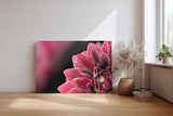 Sinus Art Wandbild 120x80cm Die glänzenden Tautropfen auf den roten Blütenblättern verleihen dem Bild eine frische Note