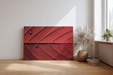 Sinus Art Wandbild 120x80cm Perfektes Motiv für alle, die grafische Naturästhetik mit Eleganz verbinden