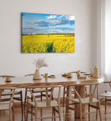 Paul Sinus Wandbild 120x80cm Rapsfeld Raps Landschaft Gelb Himmel Sommer