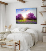 Paul Sinus Wandbild 120x80cm Baumblüte Frühling Violett Sonnenuntergang Wiese Blumen