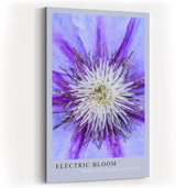 Paul Sinus Kunstdruck 40x60cm Electric Bloom – Nahaufnahme einer lila Blüte mit intensiver Mitte