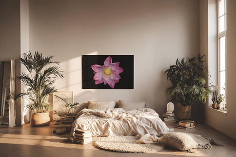 Sinus Art Wandbild 120x80cm Die rosa Blütenblätter vor schwarzem Hintergrund wirken edel, klar und meditativ