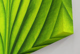 Sinus Art Wandbild 120x80cm Die symmetrische Blattstruktur bringt Ordnung, Frische und natürliche Ruhe in den Raum