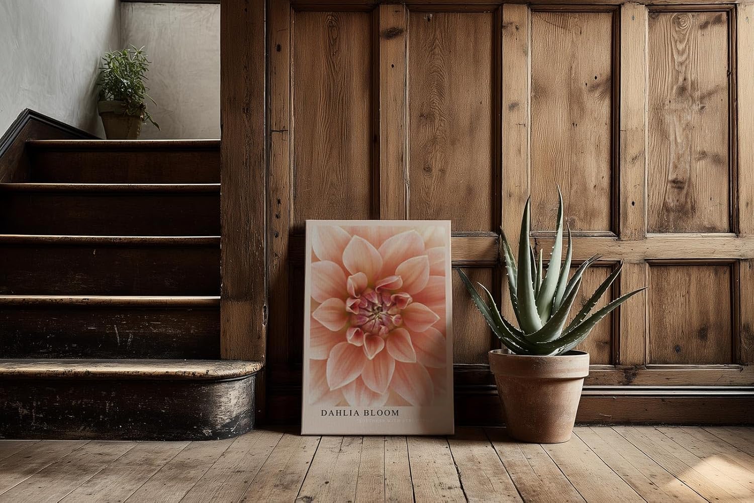 Paul Sinus Kunstdruck 40x60cm Dahlia Bloom Blume Makro Rosa Struktur Natur Pflanze Detail