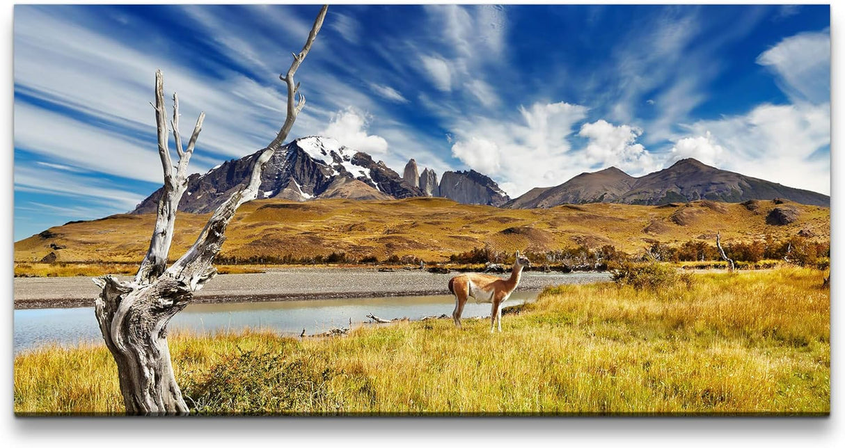 Tiere in Chile ca. 130x70cm Wandbild inklusive Schattenfugenrahmen schwarz - Panorama Leinwand Bild XXL Format Wandbilder Wohnzimmer Wohnung Deko Kunstdrucke