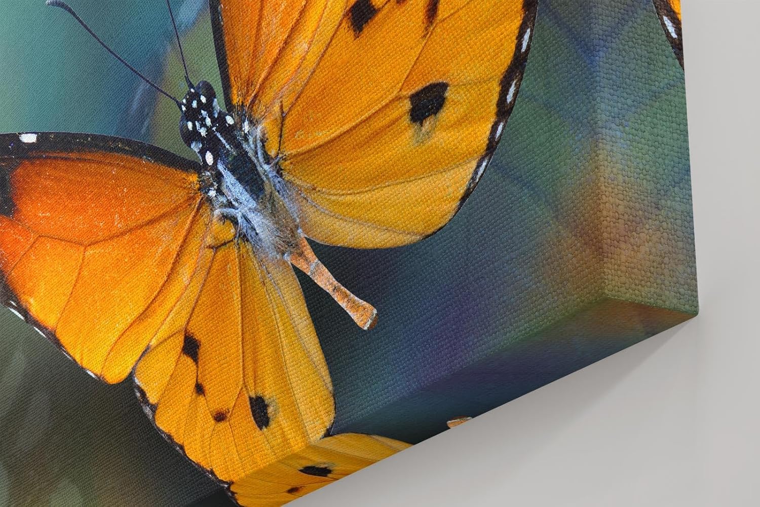 Sinus Art Wandbild 120x80cm Detaillierte Nahaufnahme eines orangefarbenen Schmetterlings mit harmonischer Komposition