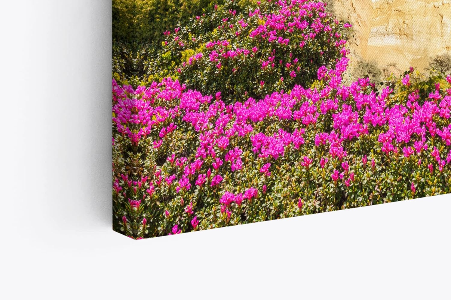 Paul Sinus Wandbild 120x80cm Strand Bucht Meer Sommer Küste Wildblumen