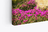 Paul Sinus Wandbild 120x80cm Strand Bucht Meer Sommer Küste Wildblumen