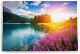 Paul Sinus Wandbild 120x80cm Alpen Alpensee Sonnenschein See Wiese Blumen Berge