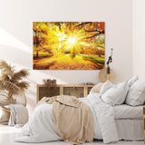 Paul Sinus Wandbild 120x80cm Herbst Herbstblätter Laub Sonnenstrahlen Baumkrone