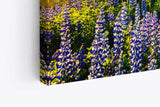 Paul Sinus Wandbild 120x80cm Stokksnes Inland Berge Landschaft Blumen See Natur