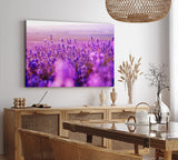 Paul Sinus Wandbild 120x80cm Blumen Blüten Violett Lavendel Blumenfeld Sonnenschein