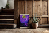 Paul Sinus Kunstdruck 40x60cm Floral Spectrum Violette Blumen in kräftigem Farbspiel Petals Dipped in Cosmic Color