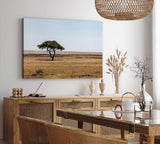 Paul Sinus Wandbild 120x80cm Afrikanische Landschaft Burkea Africana Bäume Steppe