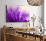 Paul Sinus Wandbild 120x80cm Blumen Blüten Violett Nahaufnahme Makrofotografie Kunstvoll