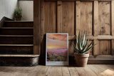 Paul Sinus Kunstdruck 40x60cm Lavendelfeld Provence Frankreich Sonnenuntergang Natur Provence France