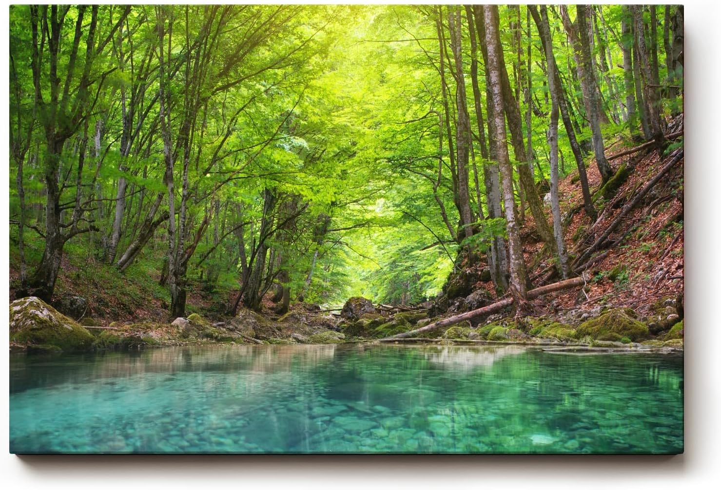 Sinus Art Wandbild 120x80cm Friedlicher Fluss mit glasklarem Wasser inmitten eines grünen Laubwaldes