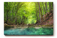 Sinus Art Wandbild 120x80cm Friedlicher Fluss mit glasklarem Wasser inmitten eines grünen Laubwaldes