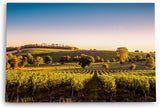 Paul Sinus Wandbild 120x80cm Frankreich Weinfelder Weinstöcke Landschaft Sonnenuntergang