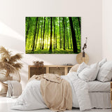 Paul Sinus Wandbild 120x80cm Wald Bäume Sonnenstrahlen Natur Sommer Grün