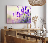 Paul Sinus Wandbild 120x80cm Lavendel Blumen Violett Feldblumen Wildblumen