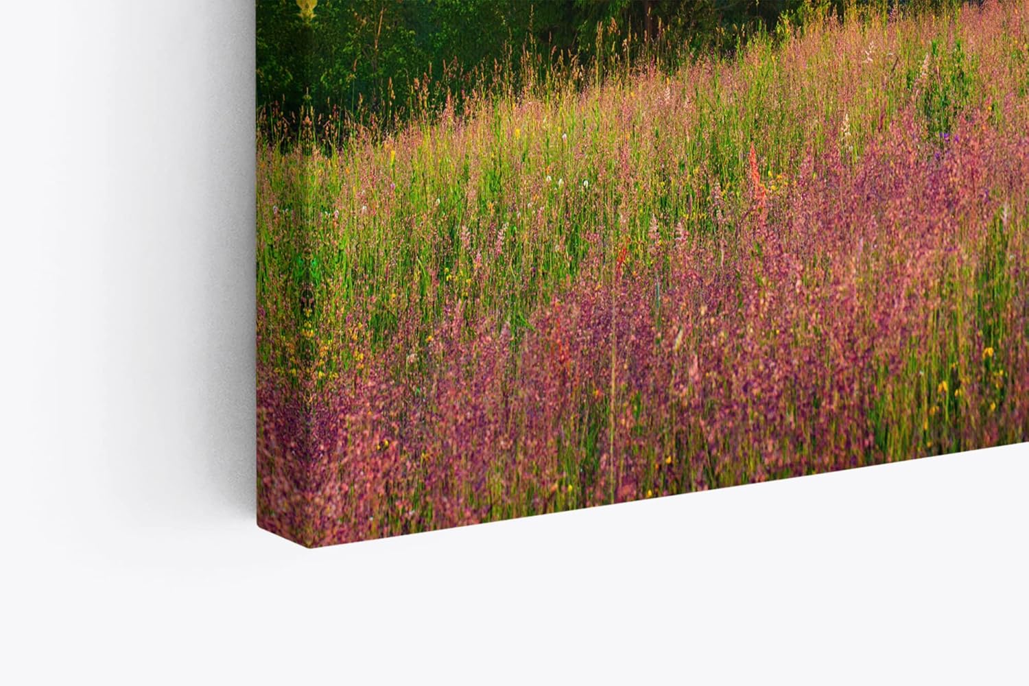 Paul Sinus Wandbild 120x80cm Bergtal Berge Berglandschaft Nebel Natur Blumenwiese