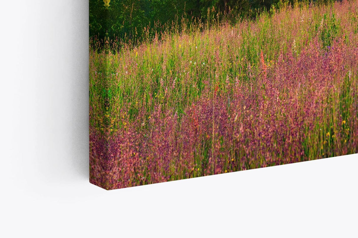 Paul Sinus Wandbild 120x80cm Bergtal Berge Berglandschaft Nebel Natur Blumenwiese