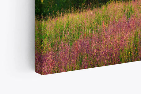 Paul Sinus Wandbild 120x80cm Bergtal Berge Berglandschaft Nebel Natur Blumenwiese