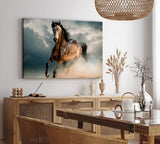 Paul Sinus Wandbild 120x80cm Pferd Wildpferd Mustang Tierfotografie Wildnis