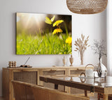 Paul Sinus Wandbild 120x80cm Sommerwiese Löwenzahn Schmetterling Gras Wiese
