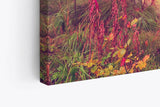Wandbild 120x80cm Wald Herbst rote Blätter Natur Baum Eiche Sonnenschein