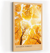 Paul Sinus Kunstdruck 40x60cm Golden Forest – herbstlicher Laubwald im goldenen Sonnenlicht