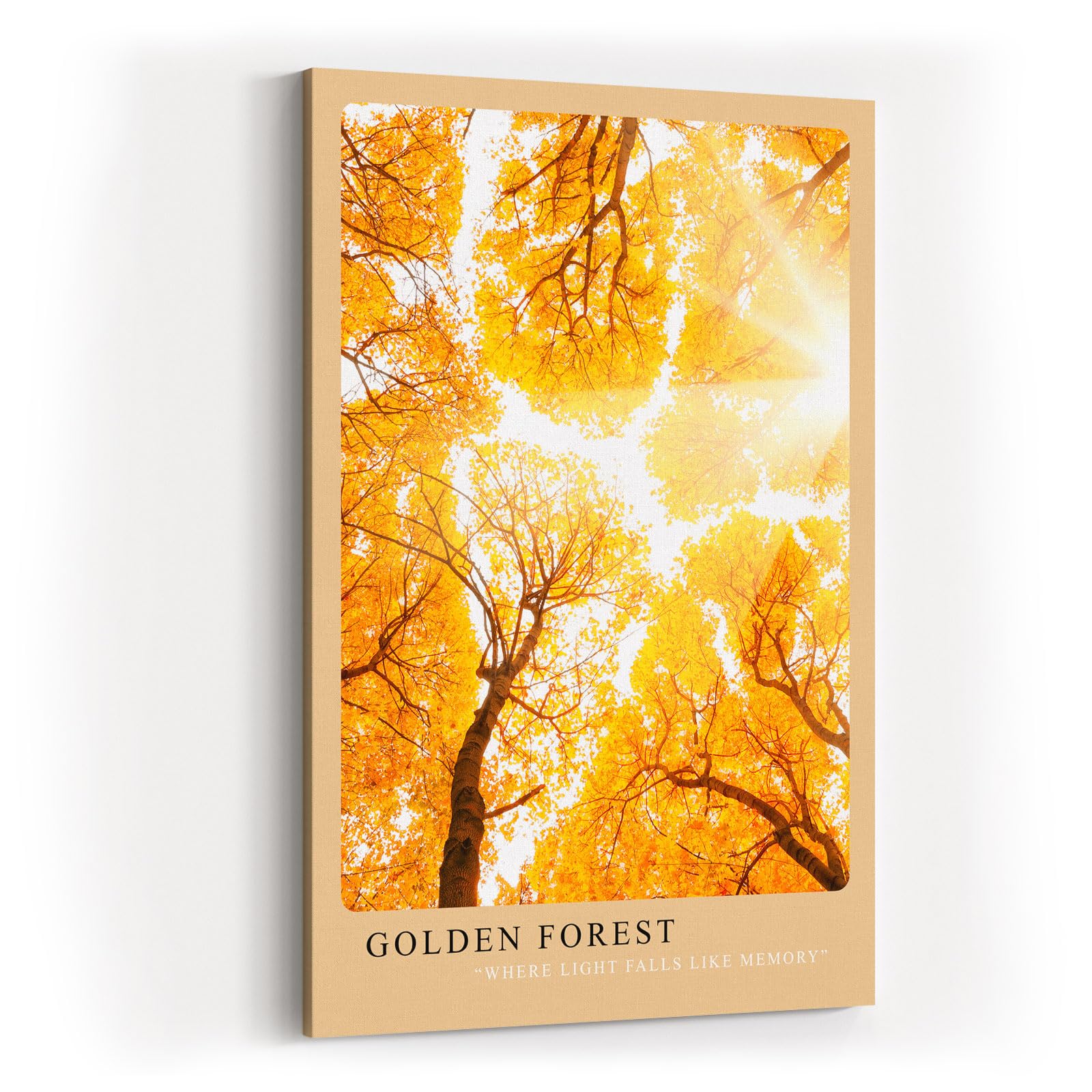 Paul Sinus Kunstdruck 40x60cm Golden Forest – herbstlicher Laubwald im goldenen Sonnenlicht