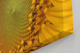 Sinus Art Wandbild 120x80cm Atemberaubendes Makromotiv einer Sonnenblume – intensiv, lebendig und ausdrucksstark