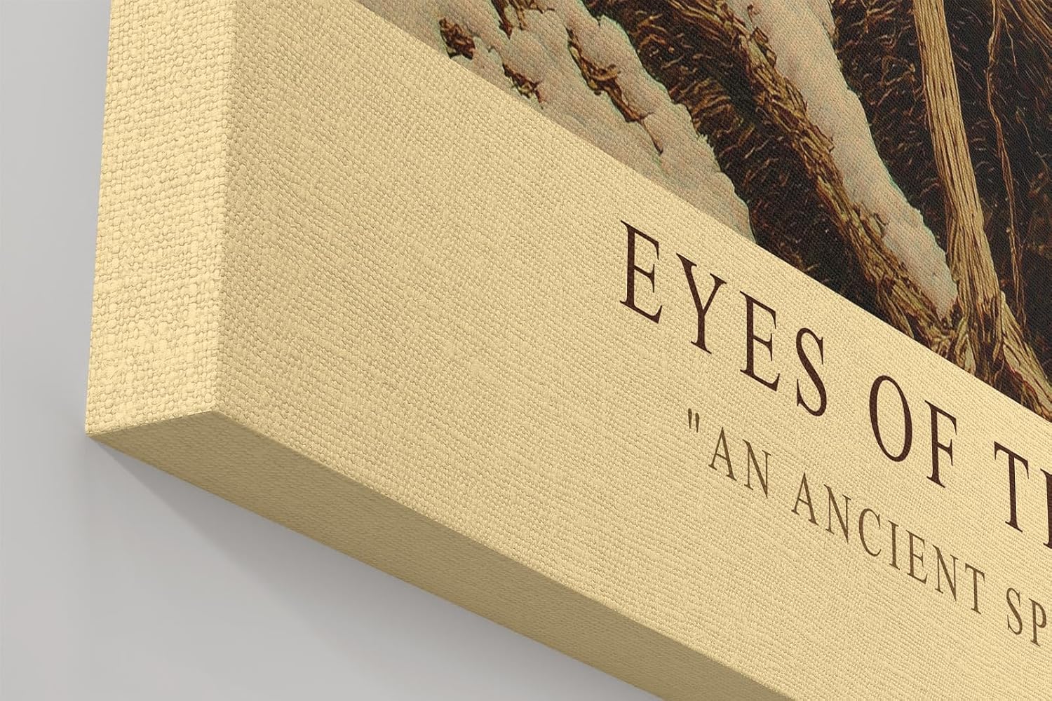 Paul Sinus Wandbild in 40x60cm Eyes of the North – majestätische Schneeeule in winterlicher Landschaft mit detailreicher Gefiederstruktur