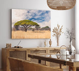 Paul Sinus Wandbild 120x80cm Afrikanische Landschaft Burkea Africana Bäume Sonnenuntergang