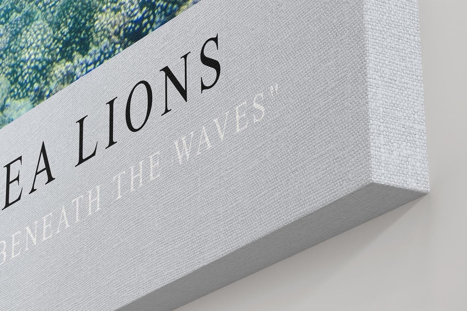 Paul Sinus Kunstdruck 40x60cm Galapagos Sea Lions – Verspielte Seelöwen unter Wasser in tropischem Blau