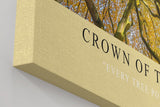 Paul Sinus Wandbild in 40x60cm Crown of the Season Goldgelbes Blätterdach aus der Froschperspektive mit verwobenen Ästen für herbstliche Raumgestaltung