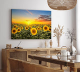 Paul Sinus Wandbild 120x80cm Sonnenblumen Blumenfeld Sonnenblumenfeld Sonne Gelb