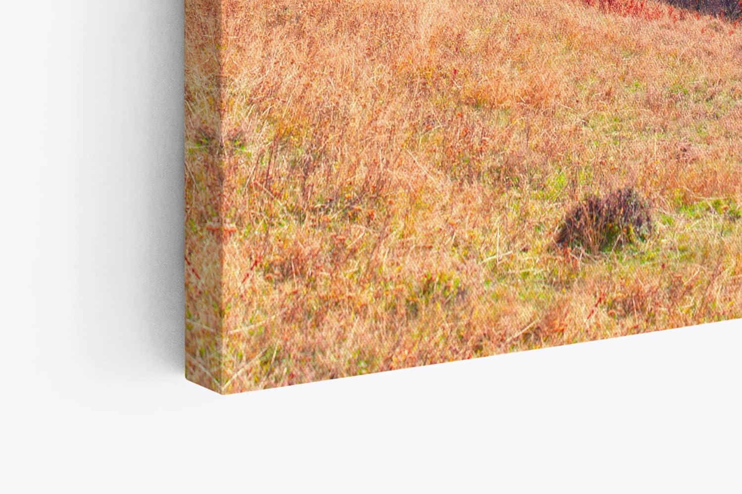 Paul Sinus Wandbild 120x80cm Berge Tannenwald Wald Wolken Natur Landschaft