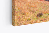Paul Sinus Wandbild 120x80cm Berge Tannenwald Wald Wolken Natur Landschaft