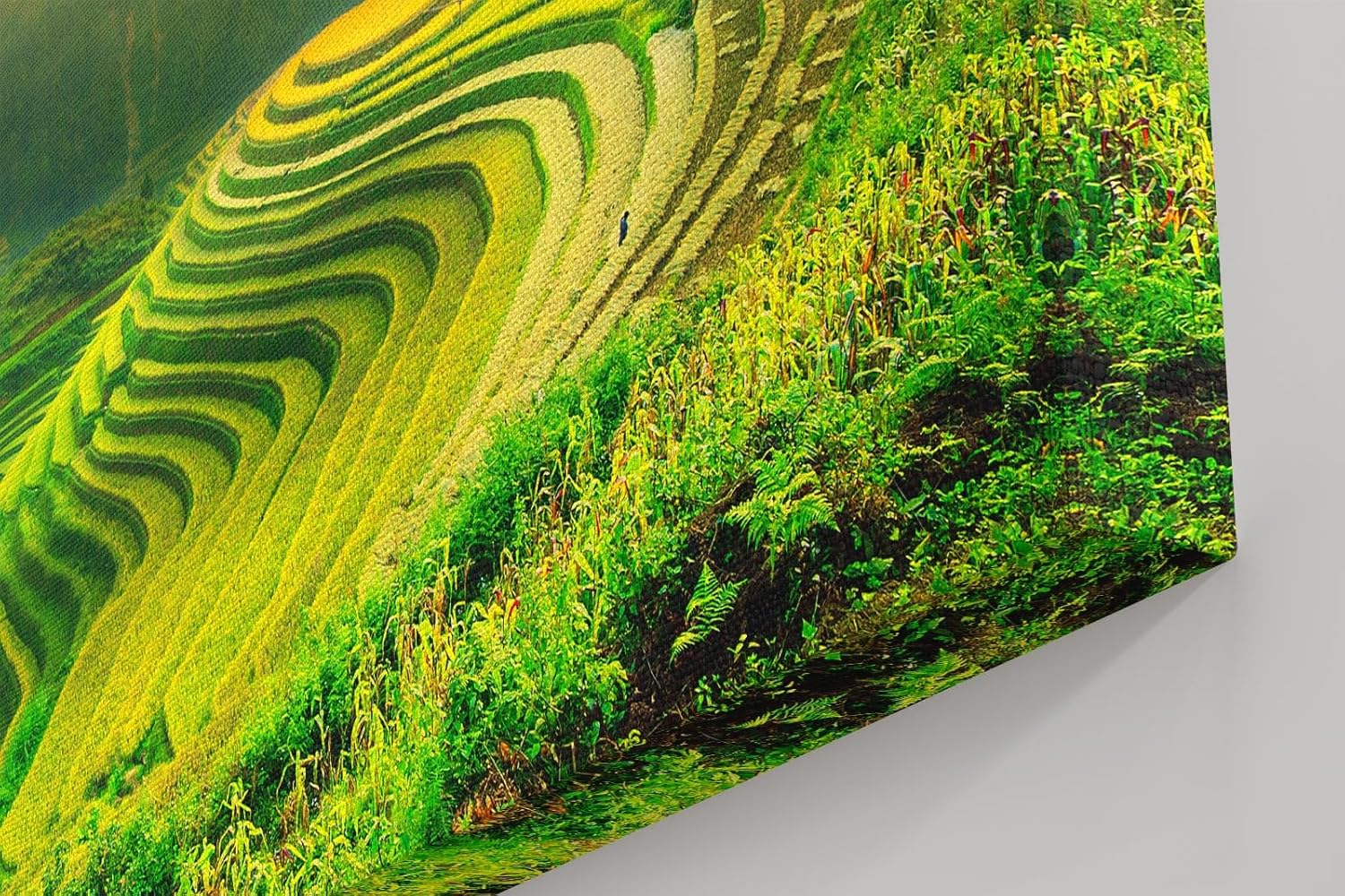 Sinus Art Wandbild 120x80cm Leuchtende Reisterrassen in der Morgensonne vor sanftem Bergpanorama