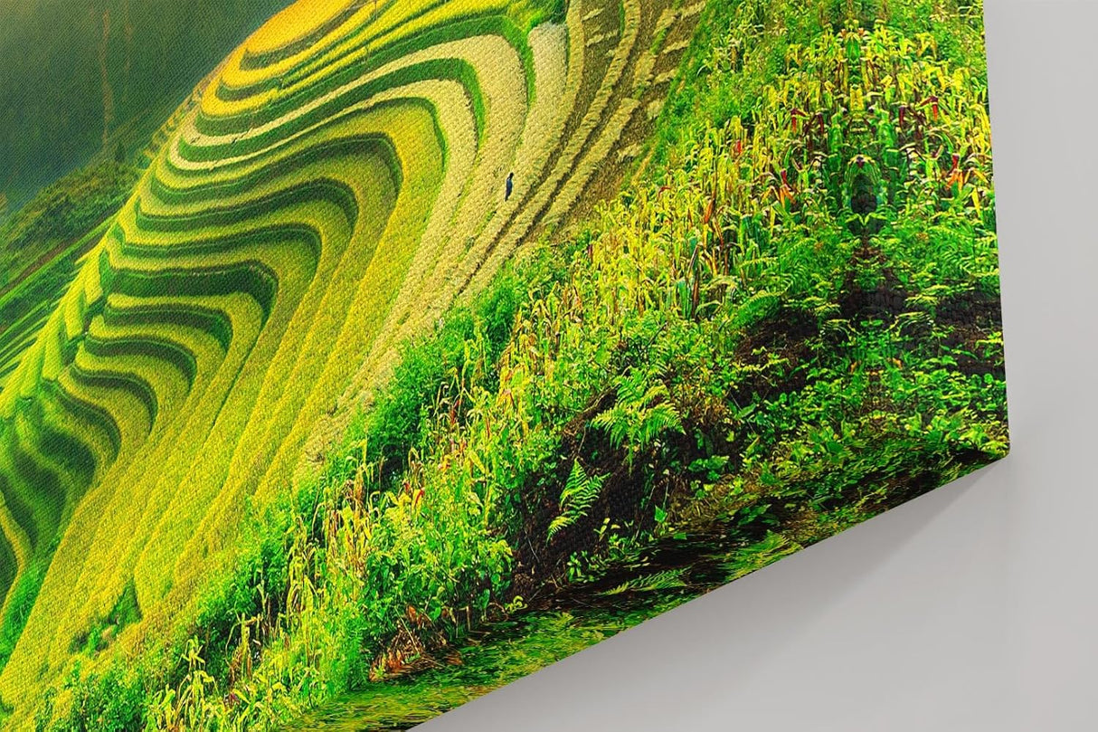 Sinus Art Wandbild 120x80cm Leuchtende Reisterrassen in der Morgensonne vor sanftem Bergpanorama