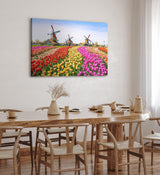 Paul Sinus Wandbild 120x80cm Holland Niederlande Windmühlen bunte Tulpen Blumenfeld
