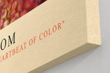 Paul Sinus Kunstdruck 40x60cm Scarlet Bloom – intensive rote Blütenmitte in eindrucksvoller Nahaufnahme