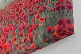 Sinus Art Wandbild 120x80cm Friedliche Blumenlandschaft mit Weitblick und natürlicher Farbintensität